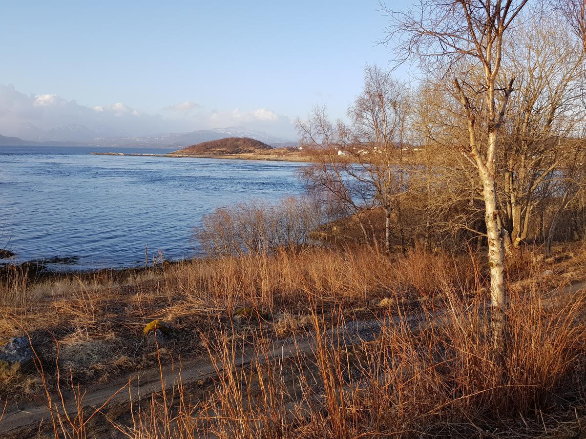 Camp Saltstraumen-Elvegard 호텔 보도 외부 사진